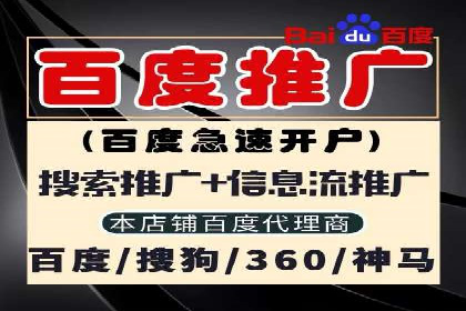 百度品牌专区推广：打造品牌形象的新途径